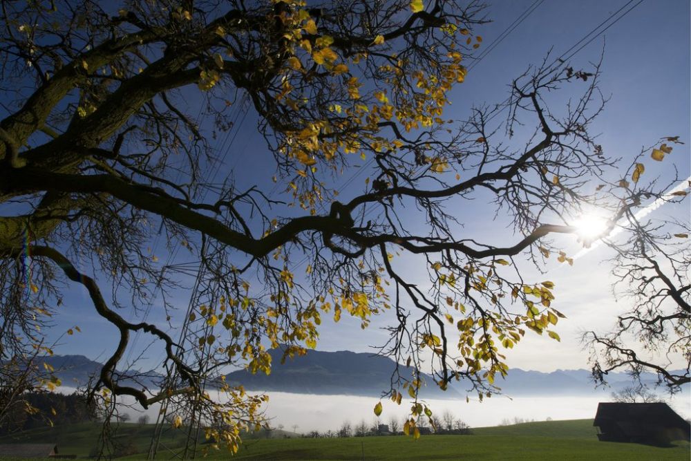 Soleil généreux prévu pour ce week-end!