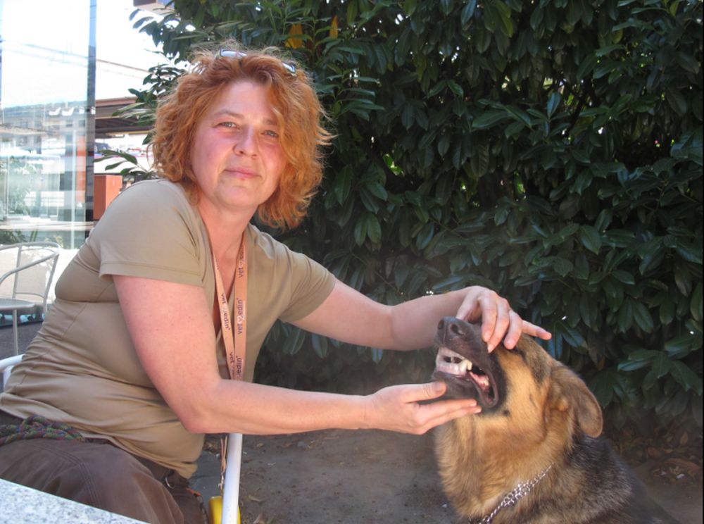 Dr Christine Kreuzberger a réalisé une étude sur l'applique dentaire pour chien et la recommande. 