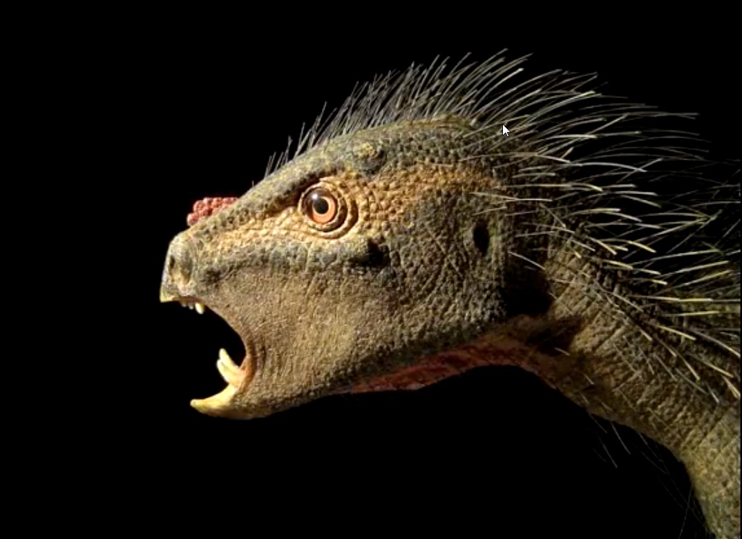 Le Paléontologue américain Paul Serono a découvert un nouveau dinosaure qu'il a surnommé: "Pegomastax africanus".