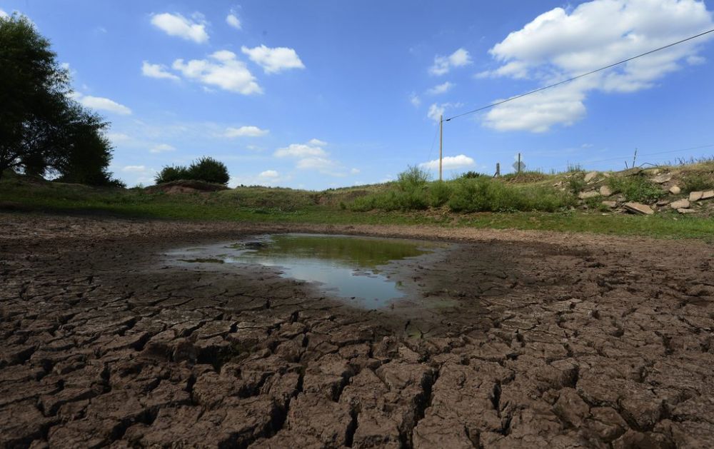 La sécheresse et la chaleur extrêmes ont ravagé les cultures et le bétail dans les Grandes Plaines et le Midwest, aux Etats-Unis.