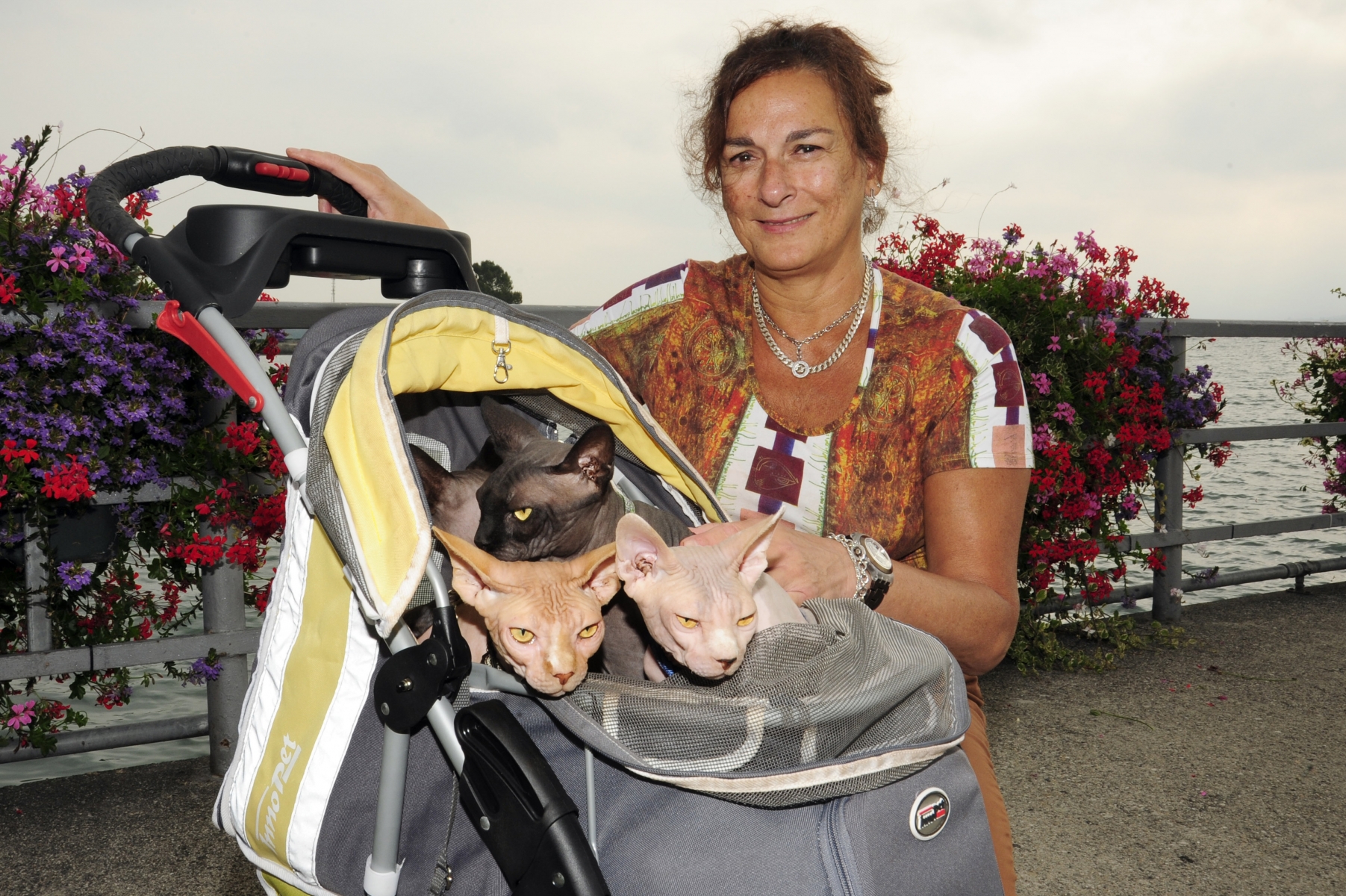 Sonya Narayan en compagnie de ses quatre sphynx, qui occupent leur pousse-pousse.