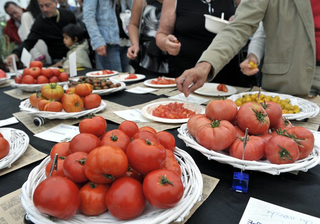 Manger des tomates, permettrait selon une étude finlandaise, de diminuer le risque d'AVC.