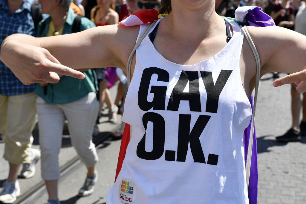 Aujourd'hui les insultes générales visant la communauté homosexuelle ne peuvent être punis en Suisse.