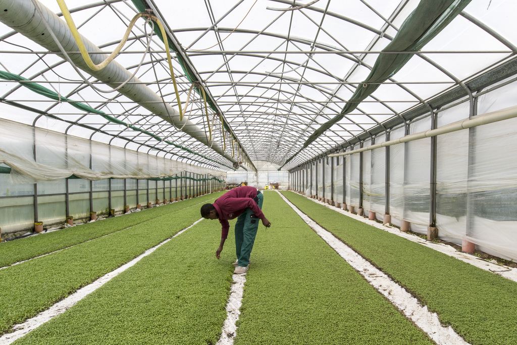 L'initiative veut que le marché du travail suisse soit limité aux étrangers dès que le chômage dépasse les 3,2%