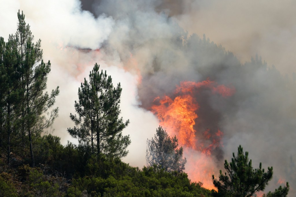 Les flammes continuent de ravager le centre de Portugal, alors que les premières victimes ont été ensevelies.