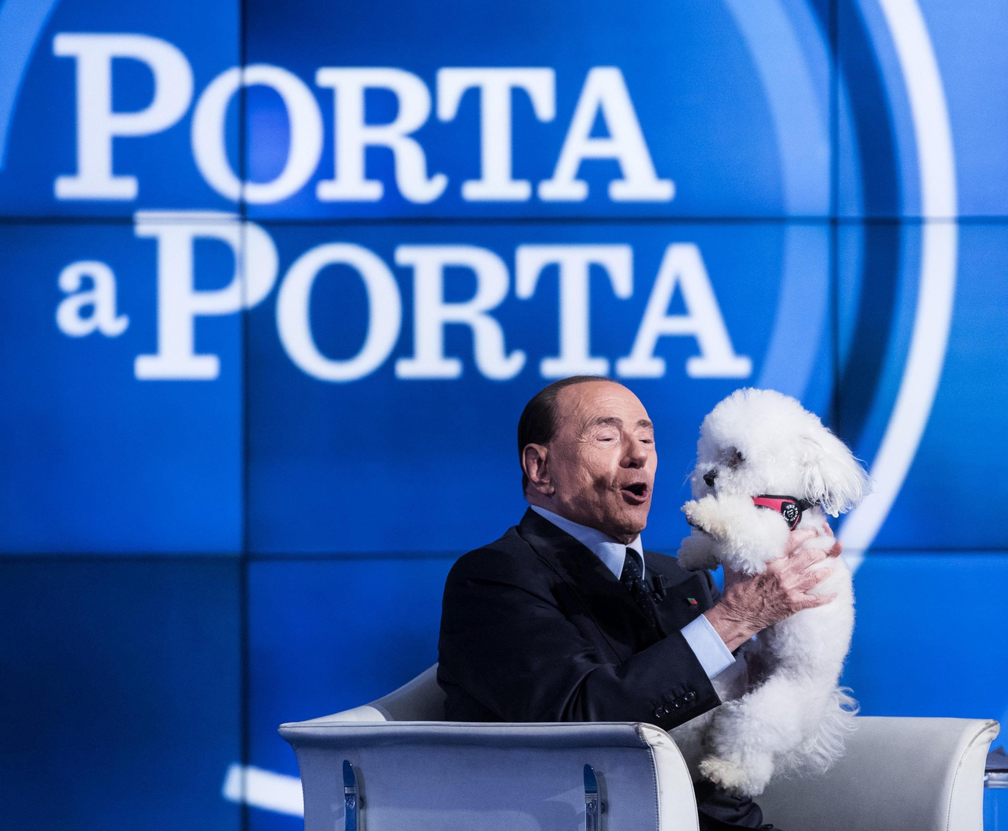 epa06041685 Italian former prime minister and leader of 'Forza Italia' party Silvio Berlusconi plays with a dog during the recording of Rai TV program 'Porta a Porta' in Rome, Italy, 21 June 2017, hosted by journalist Bruno Vespa.  EPA/ANGELO CARCONI ITALY PEOPLE BERLUSCONI