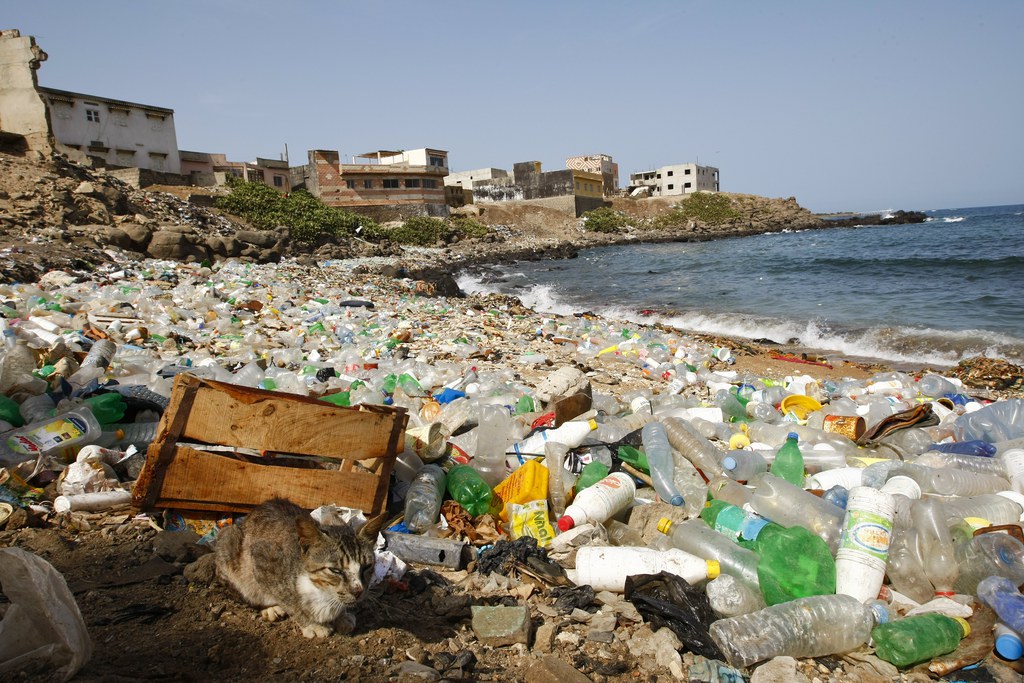 Sur 6,3 milliards de tonnes, seulement 9% ont été recyclées, 12% incinérées et 79% se sont accumulées dans les décharges ou dans la nature.