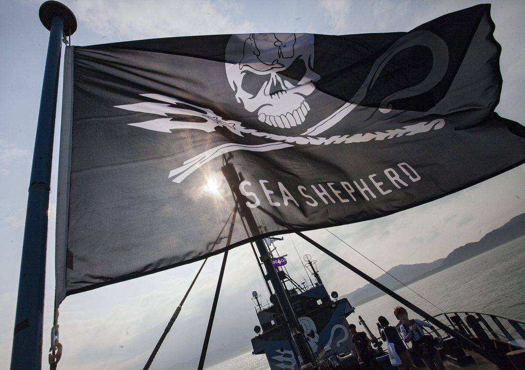 L'étendard de Sea Shepherd ne flottera pas cette année en Antarctique.