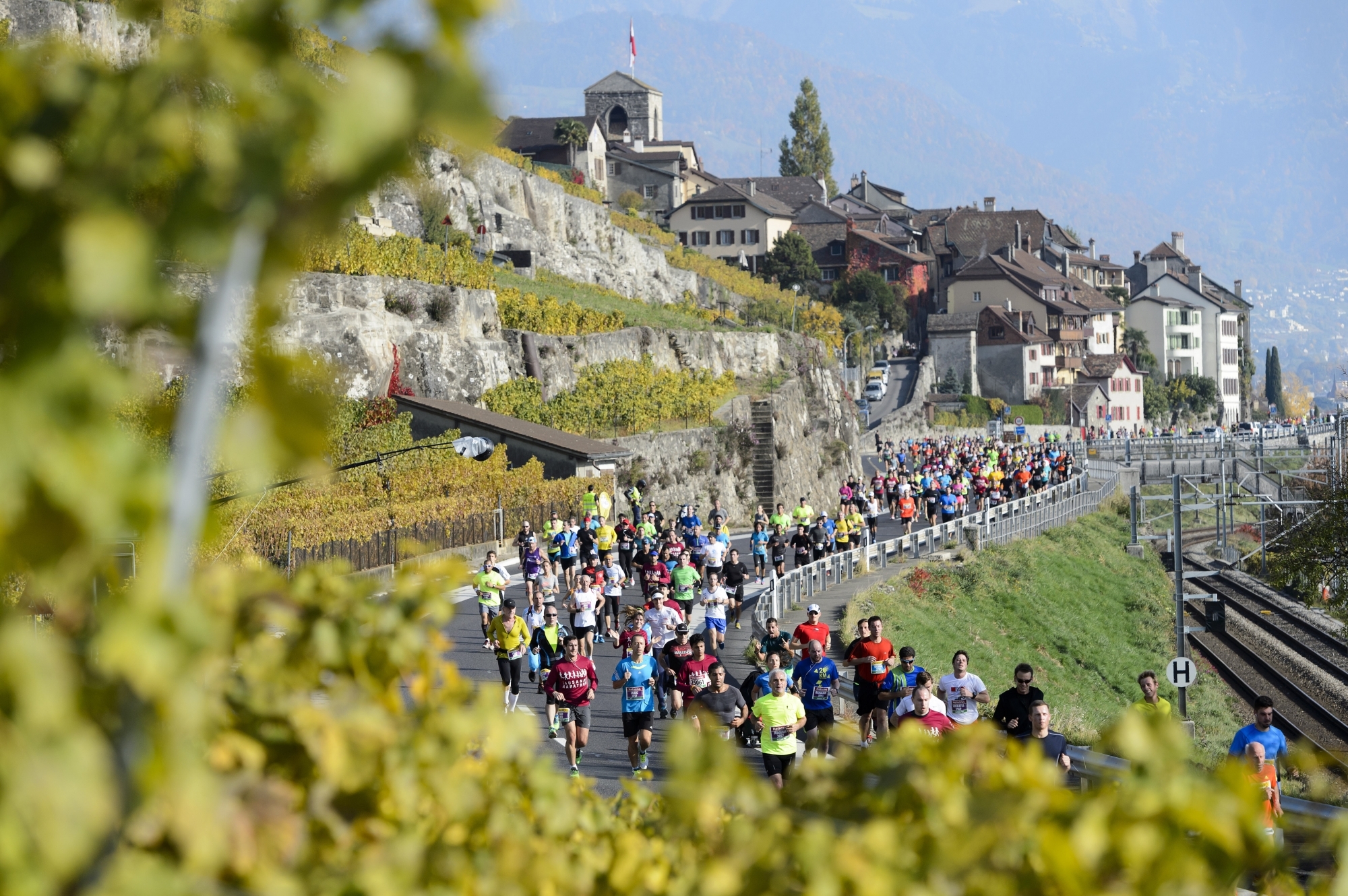 Les coureurs près de Saint-Saphorin, lors de l'édition 2016 du Lausanne-Marathon.