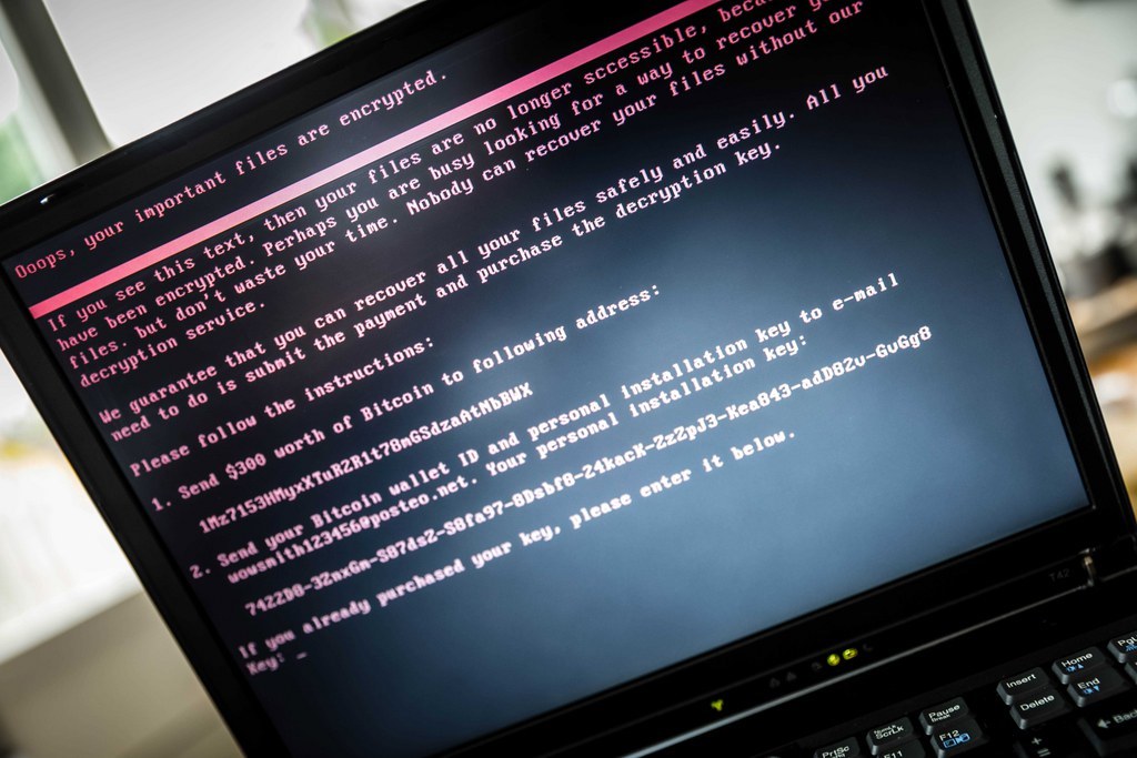 Baptisé Bad Rabbit, ce virus informatique fait apparaître sur l'écran des ordinateurs infectés une demande de rançon de 300 dollars à payer avec la monnaie virtuelle Bitcoin, selon la même source.