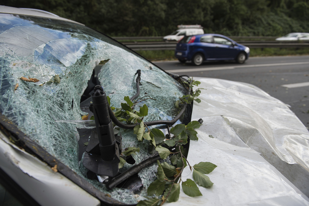 Six automobilistes ont été tués par des chutes d'arbres ou de branches dans une tempête qui balaie le nord et l'est de l'Allemagne. 