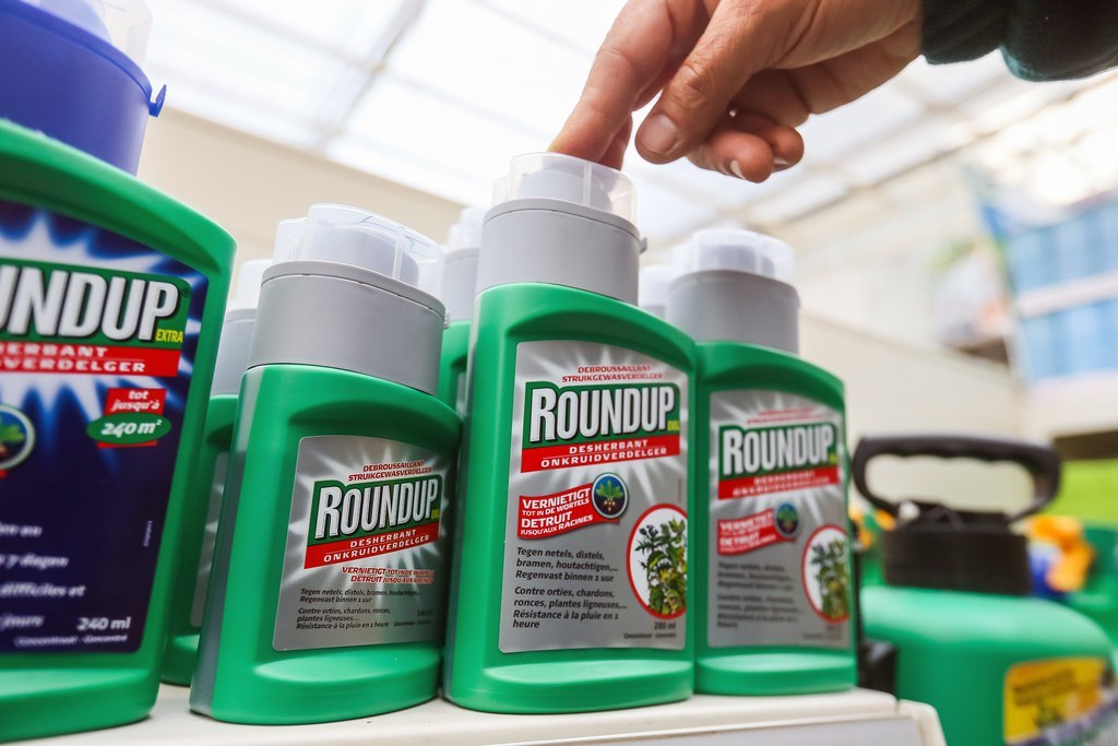 epa06284201 A man shows bottles of 'Roundup' wich contains glyphosate in a garden store in Brussels, 23 October 2017. Members of the EU Parliament (MEPs) on 24 October 2017 are to vote on a draft resolution calling for a phasing out of the herbicide glyphosate and its total ban by 2020. The herbicide glyphosate is an active ingredient in Roundup.  EPA/STEPHANIE LECOCQ