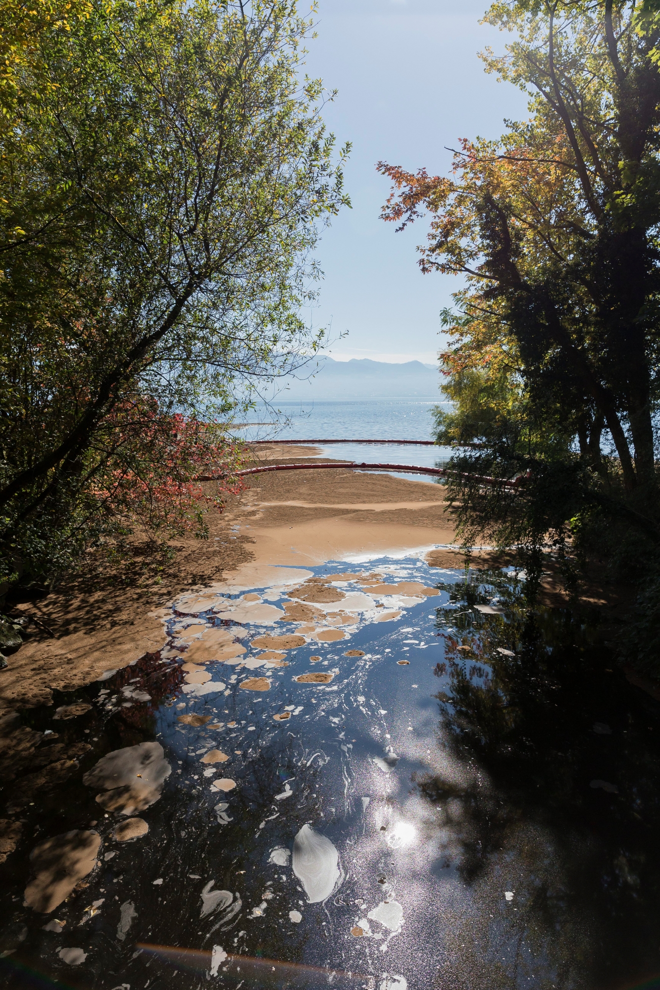 Les eaux noirs et polluees de la Chamberonne suite a une grave pollution qui a ete constatee dans la Mebre (un affluent de la Chamberonne) qui s'est propagee dans le lac Leman ce mardi, 10 octobre 2017. (KEYSTONE/Cyril Zingaro) SUISSE POLLUTION DANS LA MEBRE