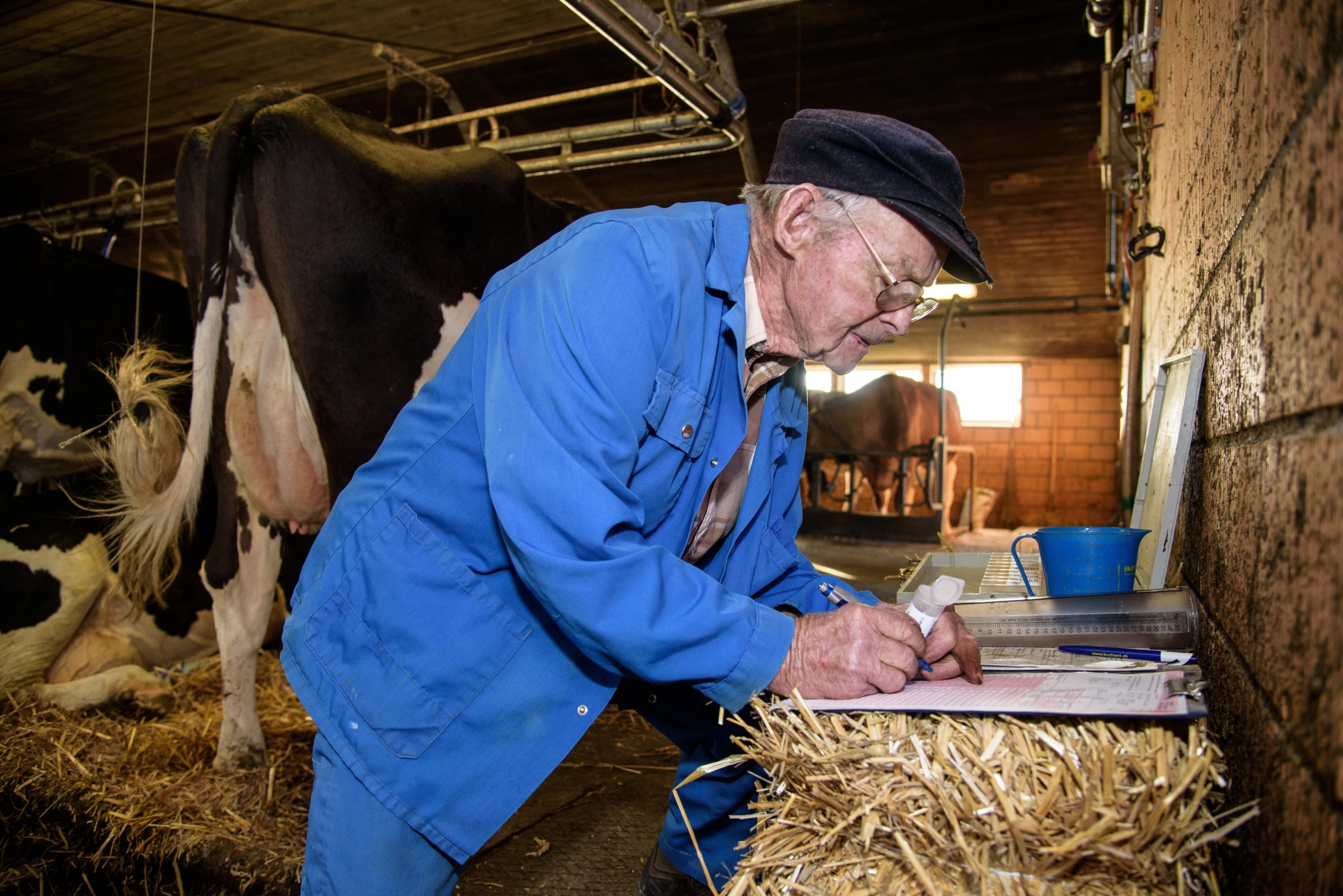 Denens, mercredi 11 octobre 2017, portrait d'Agénor Bachelard qui officie comme contrôleur laitier à 85 ans, photos Cédric Sandoz