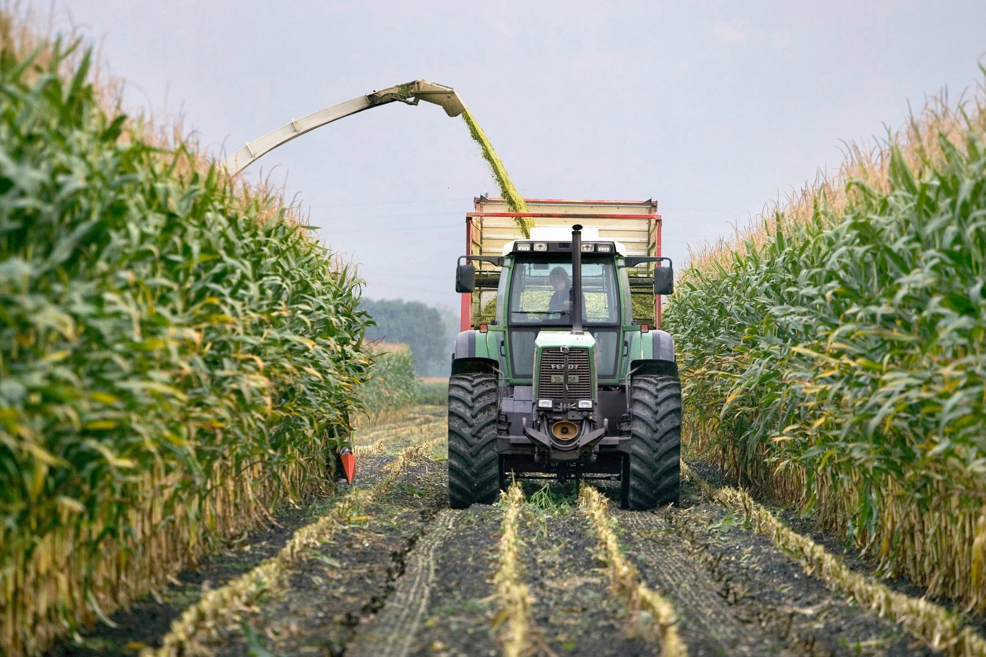 Interdire les pesticides de synthèse limiterait trop la marge de manœuvre de l'agriculture.