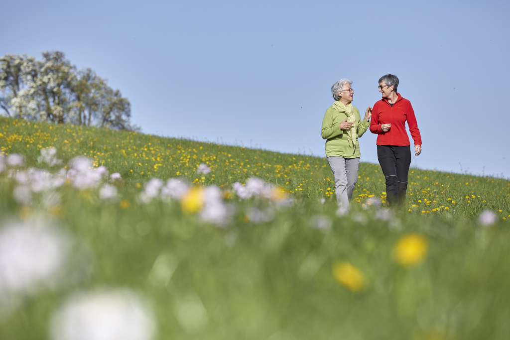 Les chercheurs conseillent aux "nombreuses personnes âgées pour qui la marche est le seul exercice" physique, d'aller marcher dans les parcs et espaces verts, dans la mesure du possible.