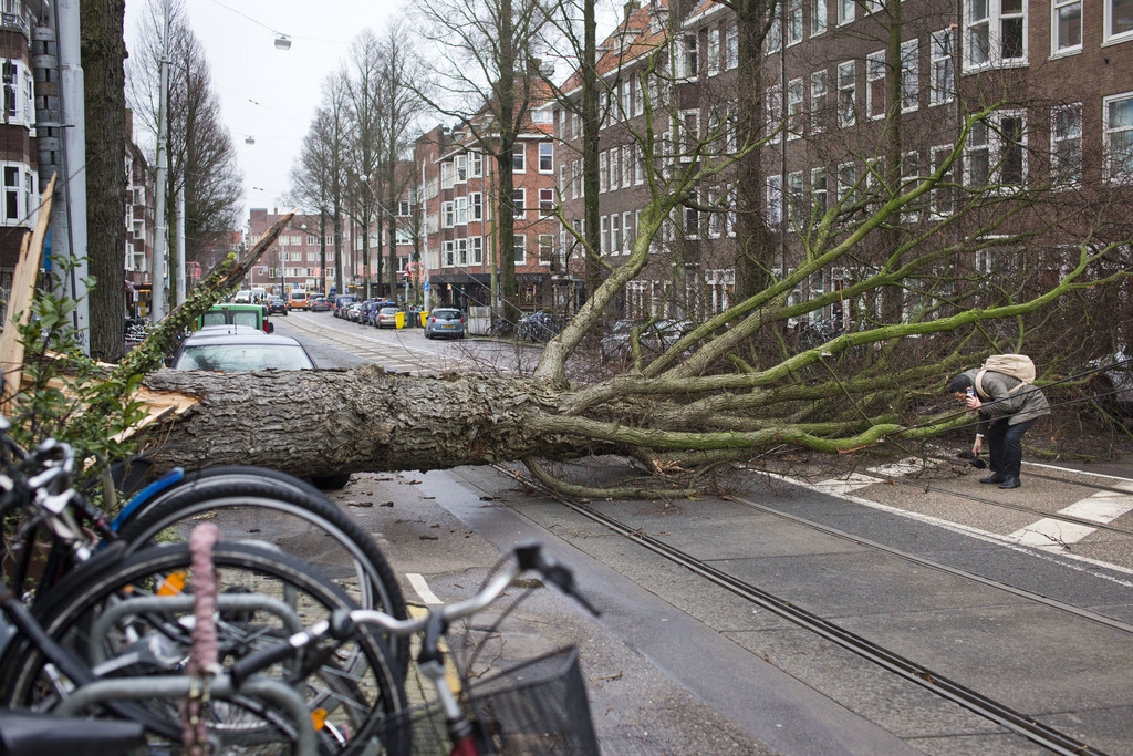 Aux Pays-Bas, deux personnes ont été tuées par des chutes d'arbres.