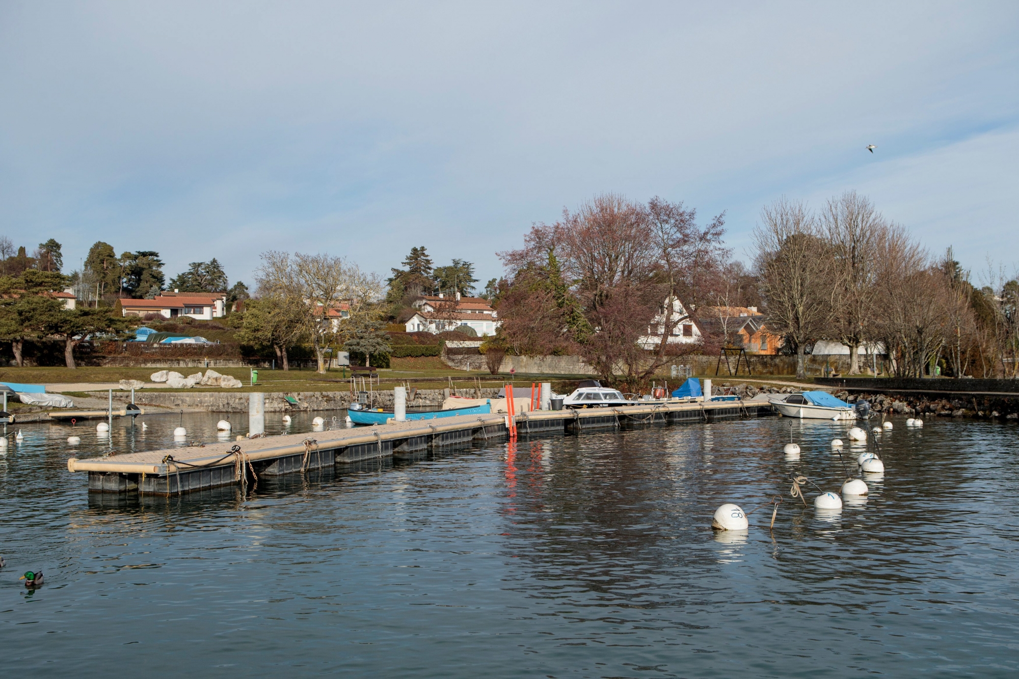 Tannay, mercredi 13 décembre 2017
Travaux au Port de Tannay

© Sigfredo Haro Travaux port, Tannay