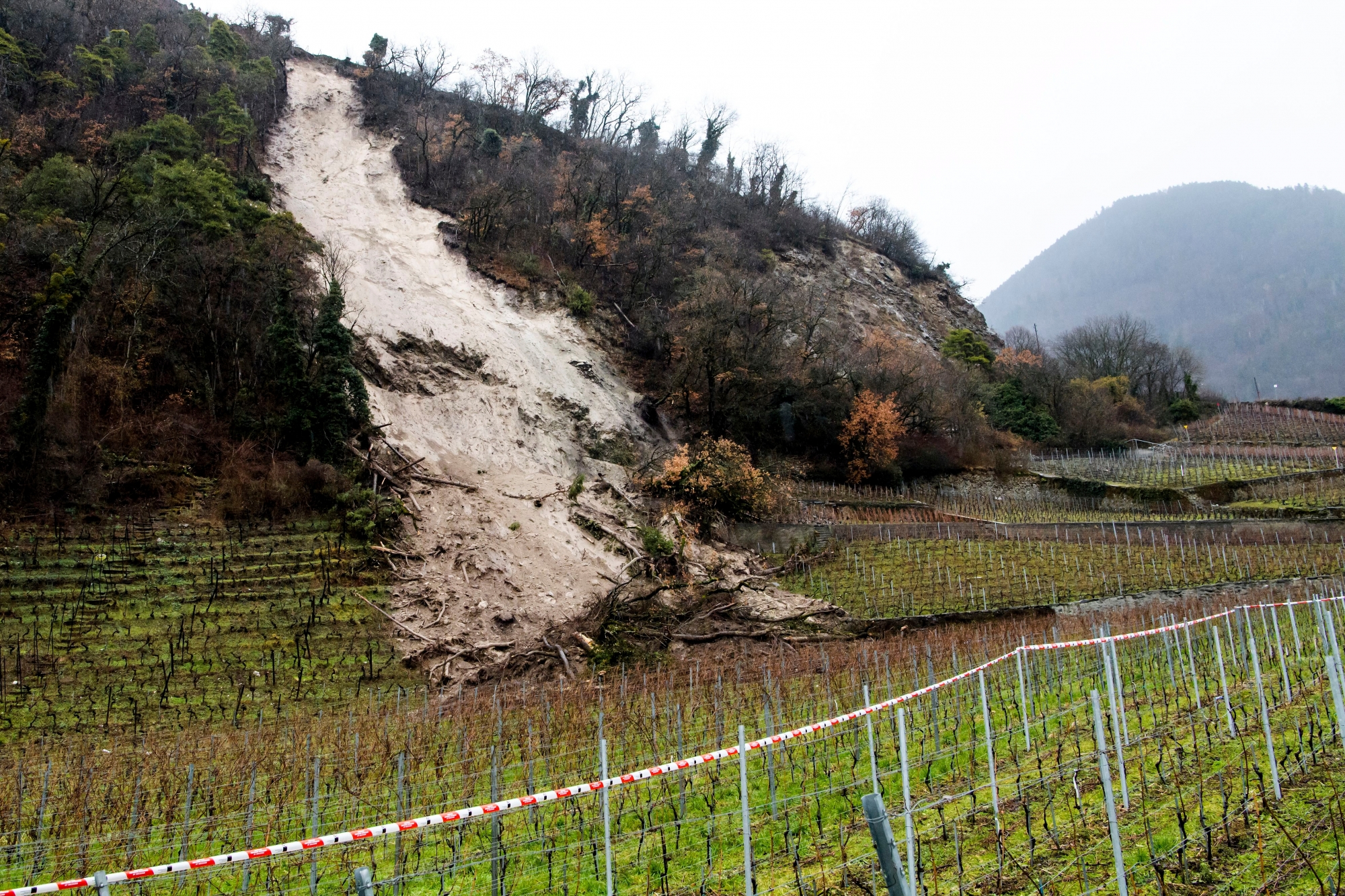 Un glissement de terrain est visible dans les vignes suite aux fortes precipitations ce lundi 22 janvier 2018 a Ollon dans le Chablais vaudois. (KEYSTONE/Jean-Christophe Bott)....A mudslide is pictured on Monday, January 22, 2018 in in Ollon, Switzerland. (KEYSTONE/Jean-Christophe Bott) SUISSE NEIGE HIVER INTEMPERIE