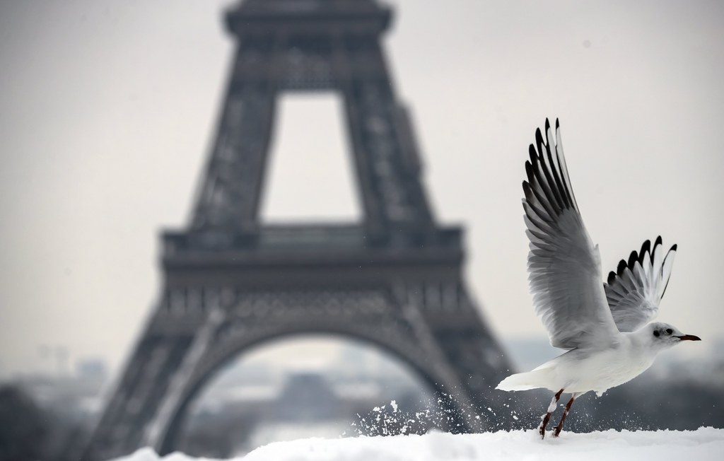 La tour Eiffel avait été fermée aux visiteurs mardi, en raison d'importantes chutes de neige sur Paris.