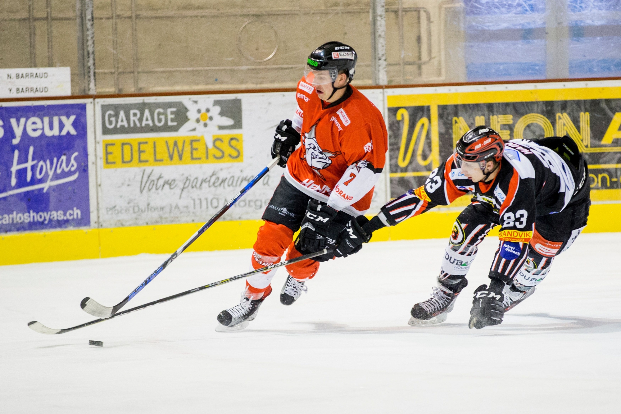 Morges , mardi 20 février 2018
Patinoire des Eaux Minérales, Hockey sur glace, MySports League, play-offs 1/4 acte II , Star Forward - EHC Brandis. #7 Eliot Meyrat

© Sigfredo Haro