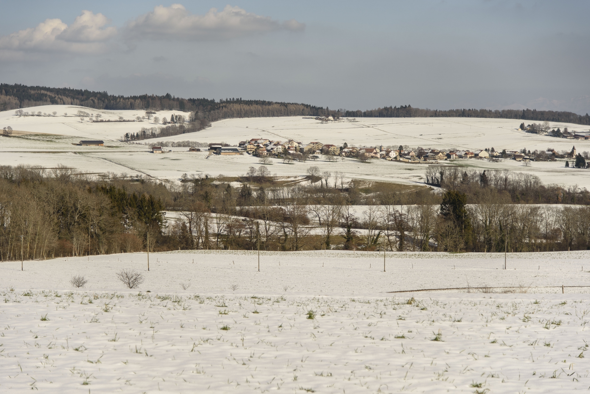 La personne a été retrouvée en vie au-dessus de Bassins, en bordure de forêt.