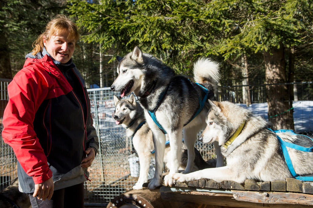 Véronique Andersson possède 15 huskys à Saint-Cergue
