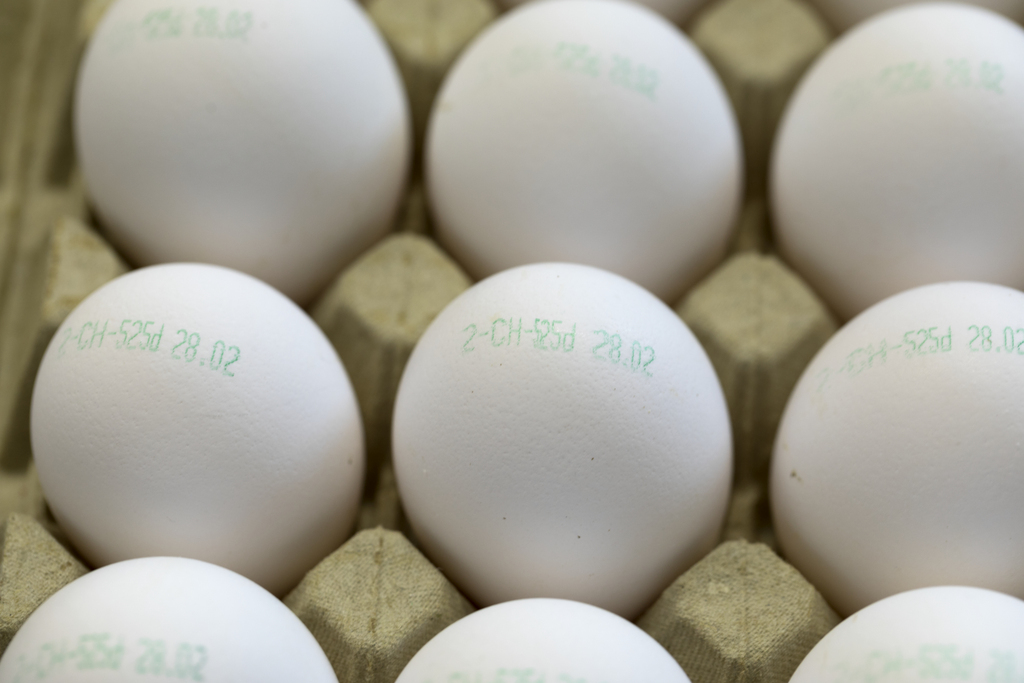Les œufs favoris des Suisses sont ceux portant le numéro 2, soit ceux issus de poules détenues selon un système de garde au sol (illustration).