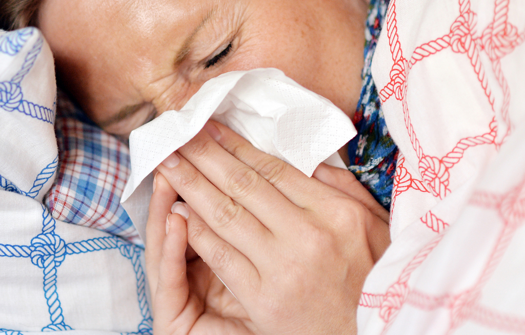 Le nombre de consultations pour des cas de grippe a fortement diminué.