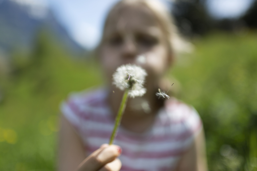 Environ deux millions de personnes en Suisse souffrent de troubles physiques pendant la saison pollinique. (illustration)