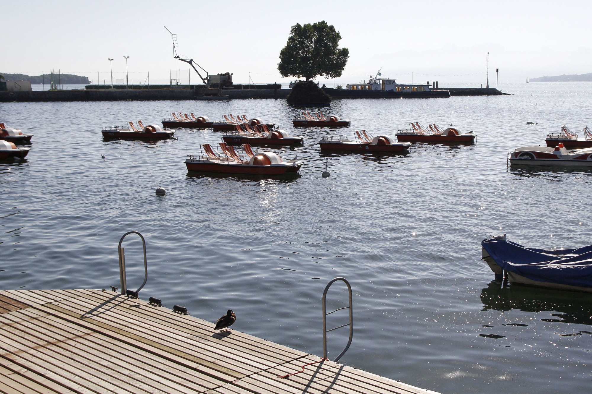 Le pédalo avait été volé à Rive.