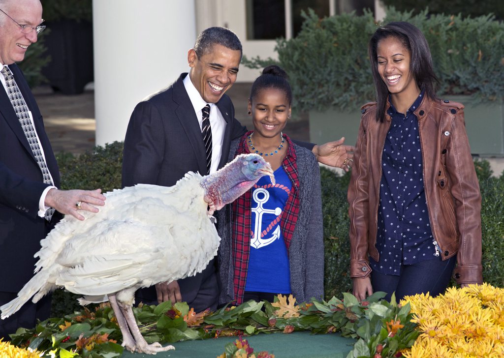 President Barack Obama, with daughters Sasha, center, and Malia, right, carries on the Thanksgiving tradition of saving a turkey from the dinner table with a "presidential pardon" at the White House in Washington, Wednesday, Nov. 21, 2012.  After the ceremony, "Cobbler" will head to George Washington's historic home in Virginia to be part of the "Christmas at Mount Vernon" exhibition. National Turkey Federation Chairman Steve Willardsen watches at left. (AP Photo/J. Scott Applewhite)