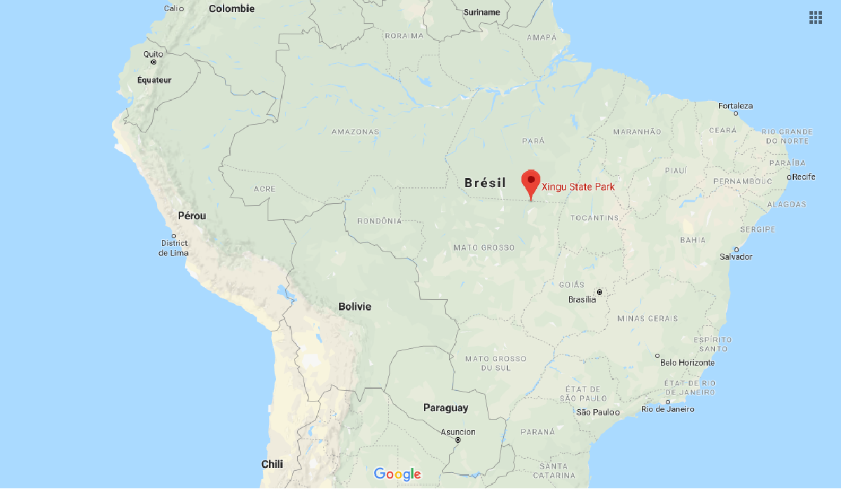 Le bébé avait été enterré peu après sa naissance, dans le parc national du Xingu, dans l'Etat du Mato Grosso (ouest).