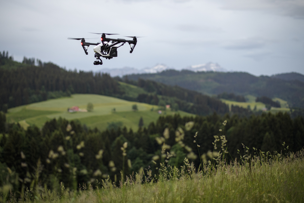 Les drones pénètrent dans des zones jusqu'alors préservées et dérangent les oiseaux et d'autres animaux sauvages.