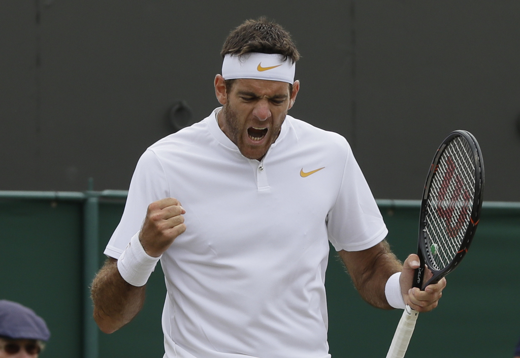 L'Argentin Juan Martin Del Potro a rejoint Rafael Nadal en quarts de finale de Wimbledon.