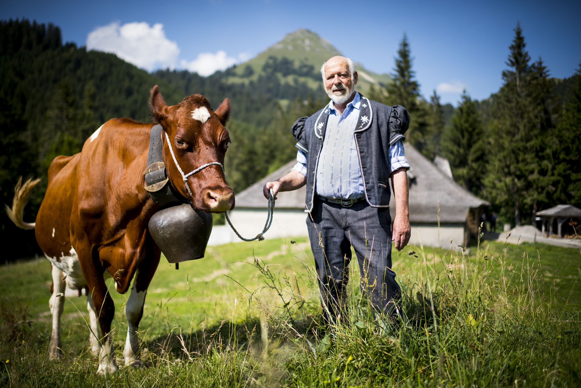 Raoul Colliard, ancien maître-armailli, pose avec la vache Anemone.