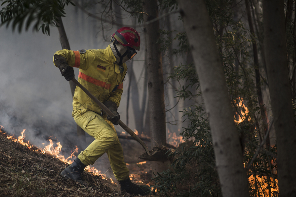 Plus de 1150 pompiers étaient mobilisés lundi pour lutter contre un incendie qui s'est déclaré vendredi dans la région de l'Algarve.