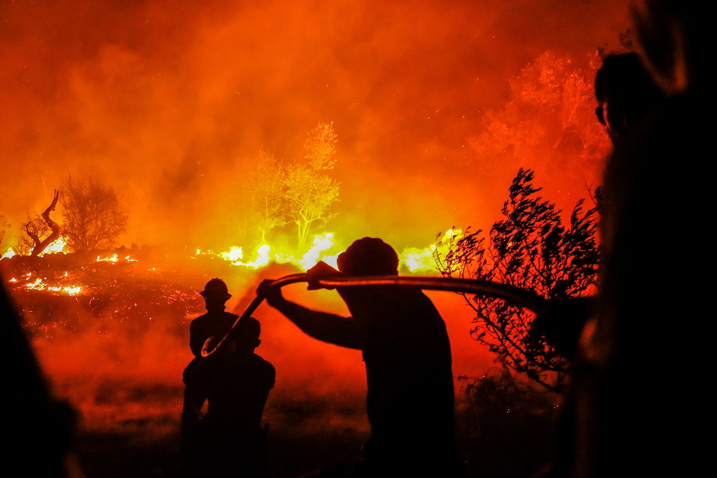 Un feu de forêt dans le sud du Portugal s'étendait jeudi sur un périmètre de 100 km.