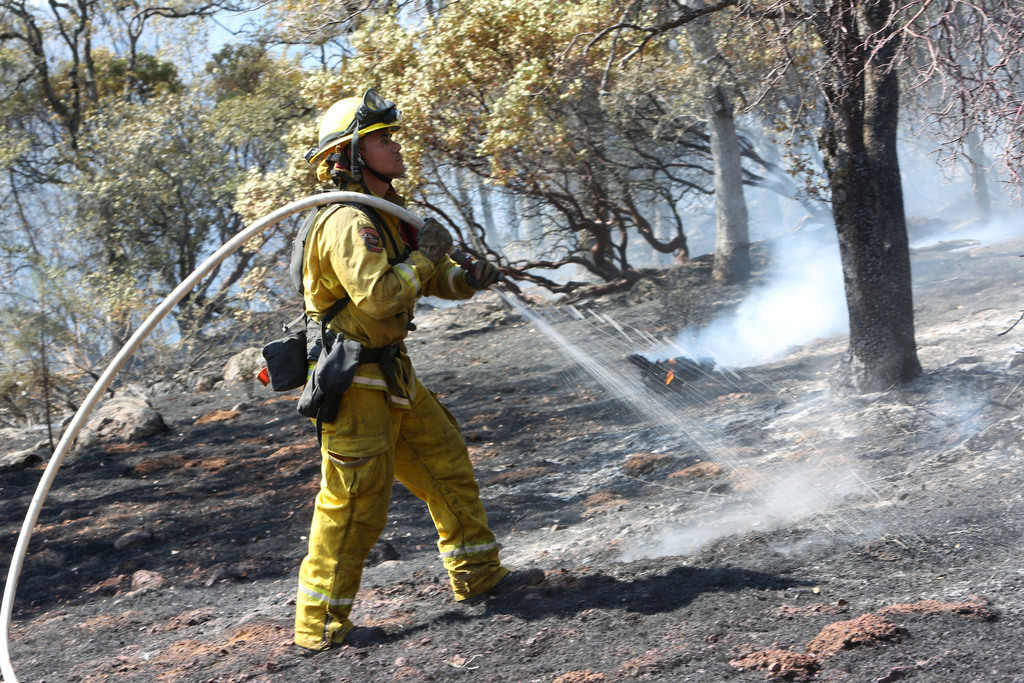 Quatorze des vingt feux les plus destructeurs en superficie de la Californie se sont produits depuis 2003, une période qui a connu certaines des années les plus chaudes et les plus sèches de l'histoire des Etats-Unis.