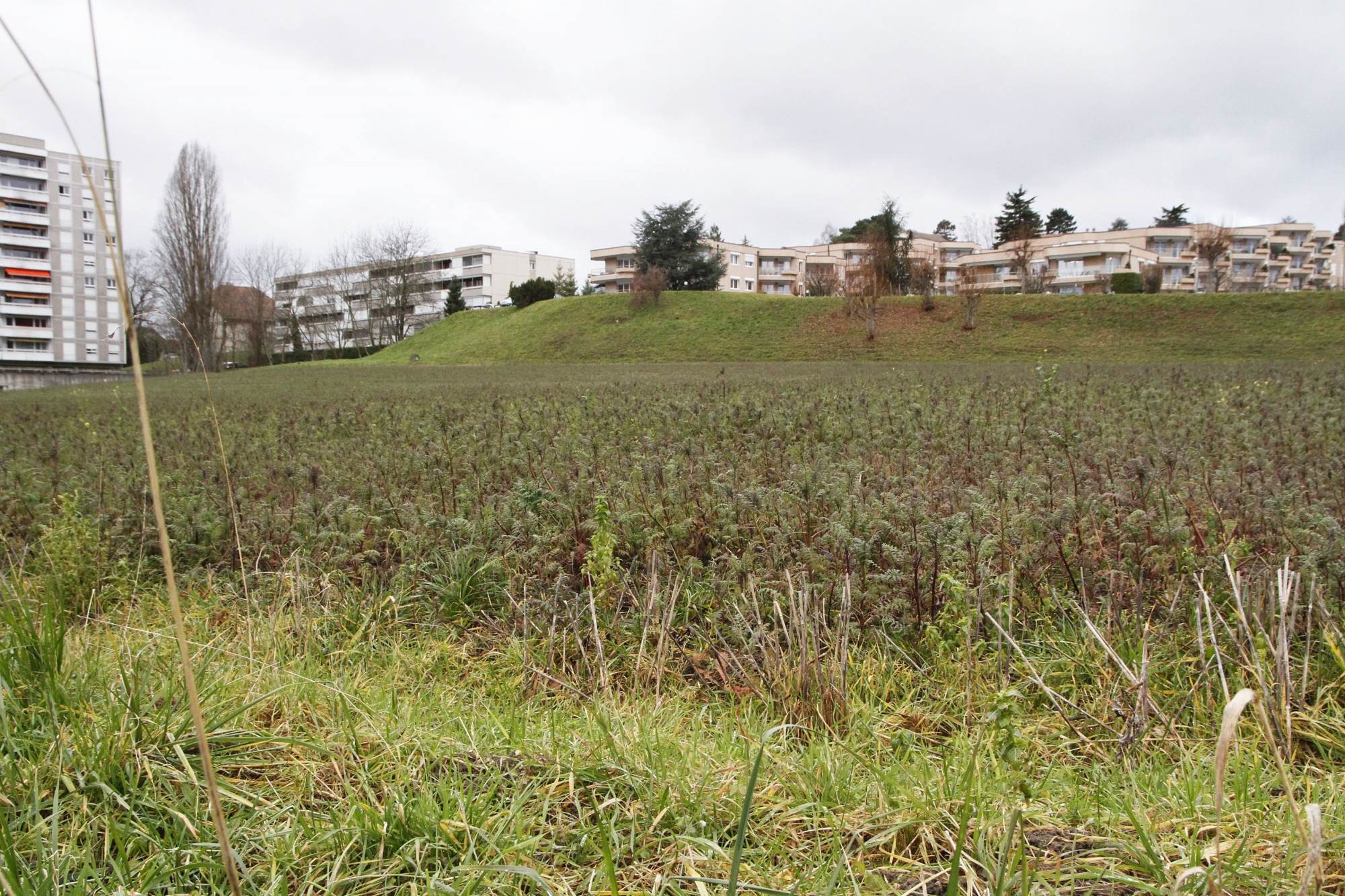 Le projet aujourd'hui controversé doit se réaliser sur la parcelle située sous Le Domaine de La Gracieuse.