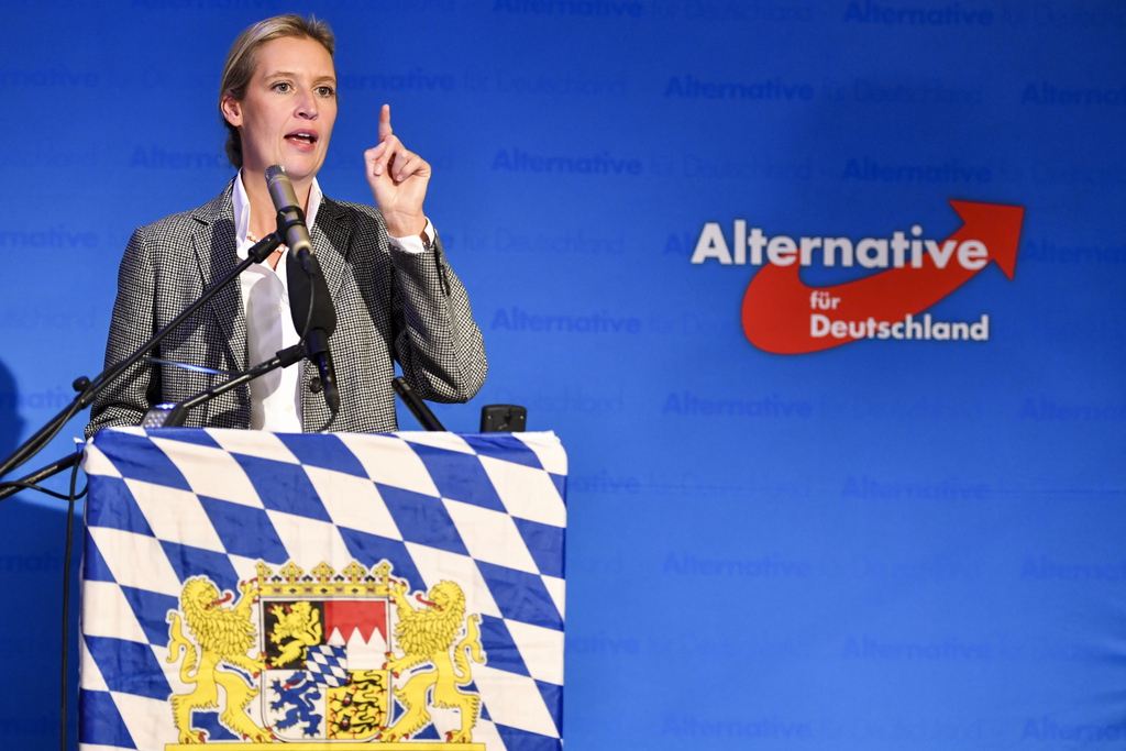 L'Alternative pour l'Allemagne (AfD, ici sa patronne Alice Weidel) fait partie des gagnants du scrutin.