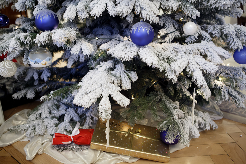 Contrairement aux sapins en plastique, les arbres de Noël naturels présentent un bilan carbone neutre.