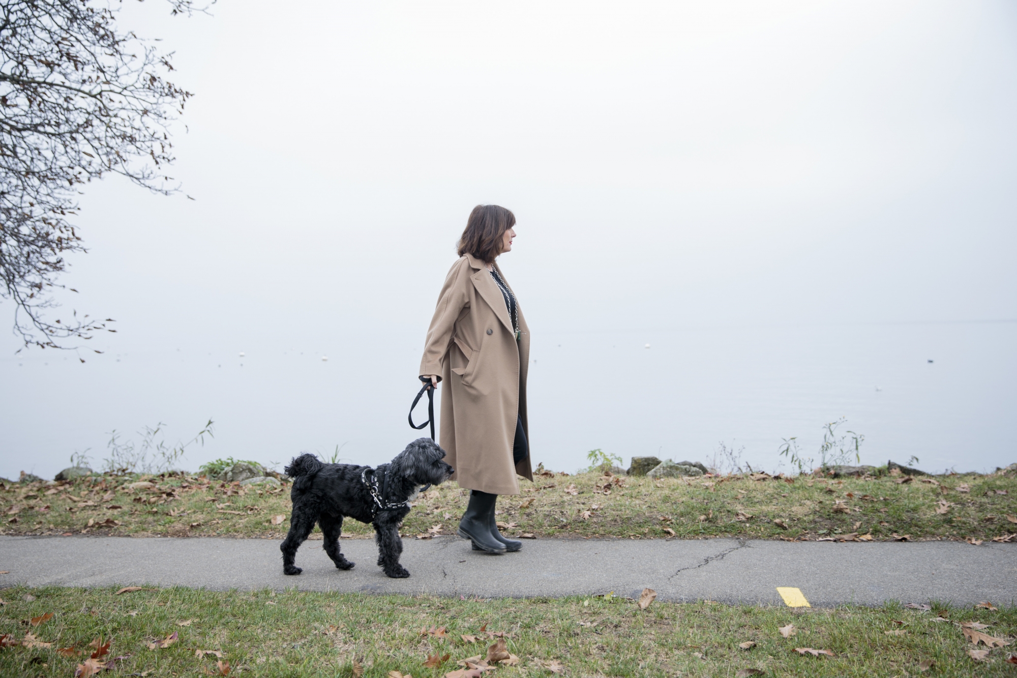 Les chiens peuvent se promener en toute sécurité au bord du lac à Rolle.