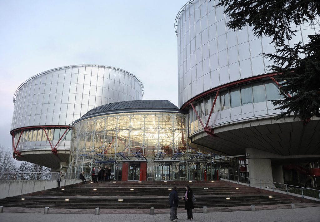 La cour européenne des Droits de l'Homme de Strasbourg juge qu'un conjoint doit pouvoir adopter l'enfant de l'autre, sans considération de l'orientation sexuelle.