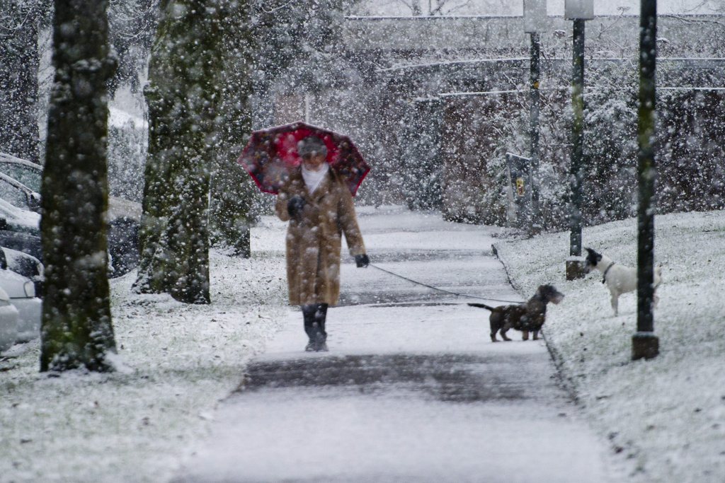 En raison de températures négatives, cette neige tiendra rapidement sur les sols et les chaussées.