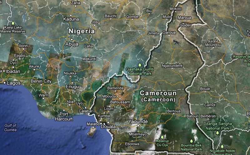 Les Français ont été enlevés dans l'extrême-nord du Cameroun puis emmenés au Nigeria voisin.