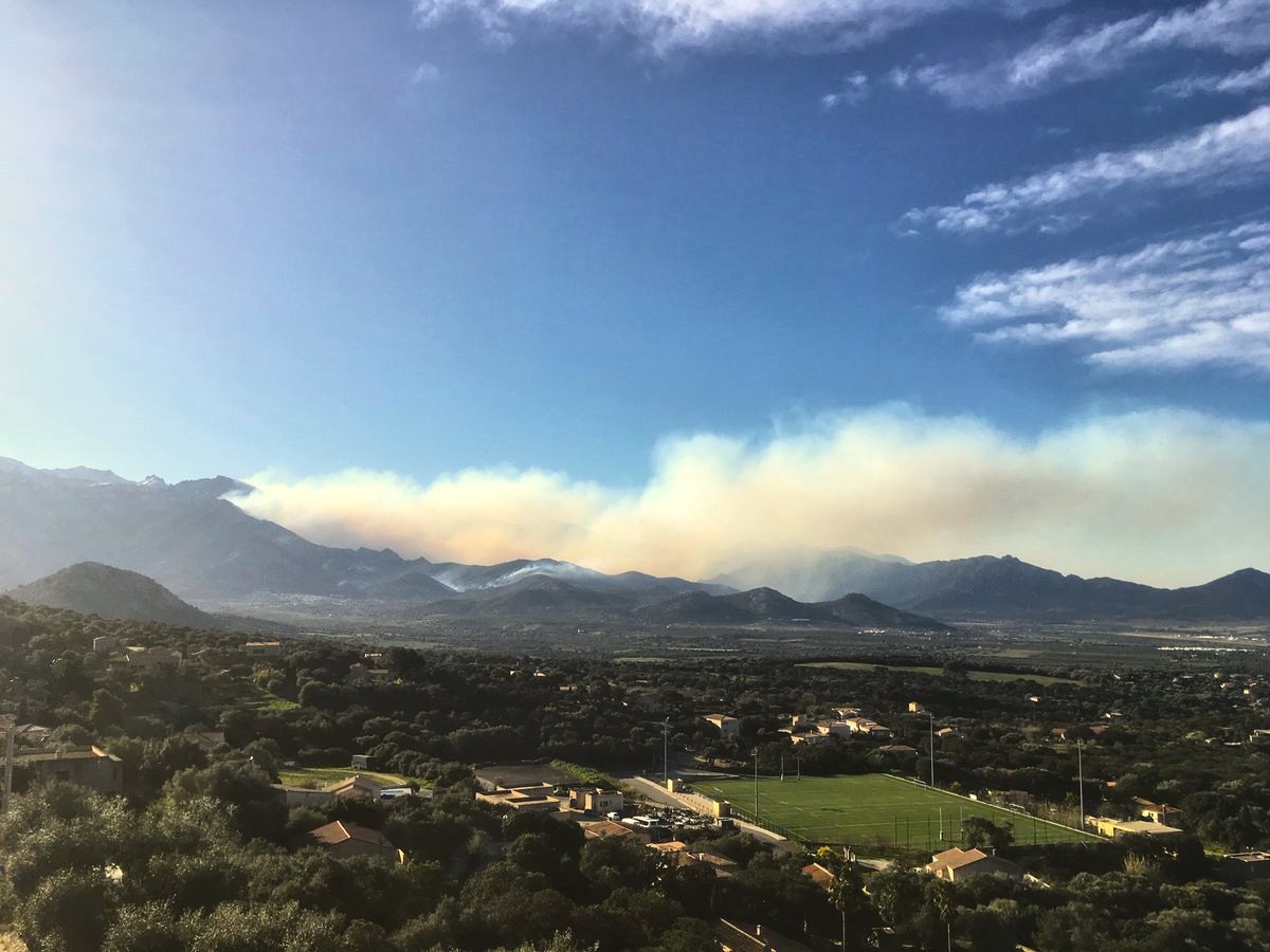 Des centaines d'hectares de végétation sont déjà partis en fumée.