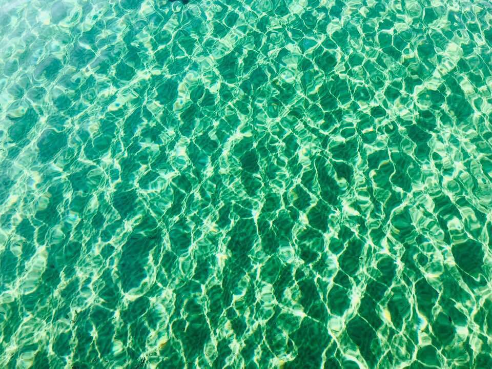 Photographiées hier à Nyon, les eaux du Léman offrent une transparence extrême. La présence de plancton y est réduite à cette période de l'année.