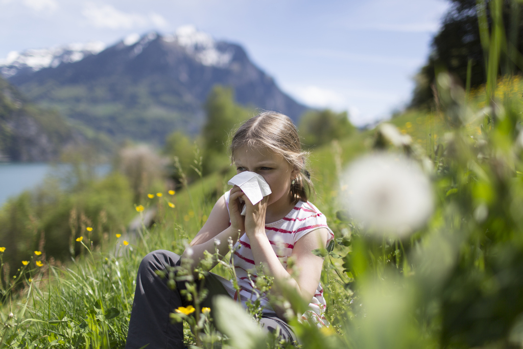 Les muqueuses respiratoires qui sont en contact avec le pollen deviennent plus sensibles aux attaques virales (illustration).