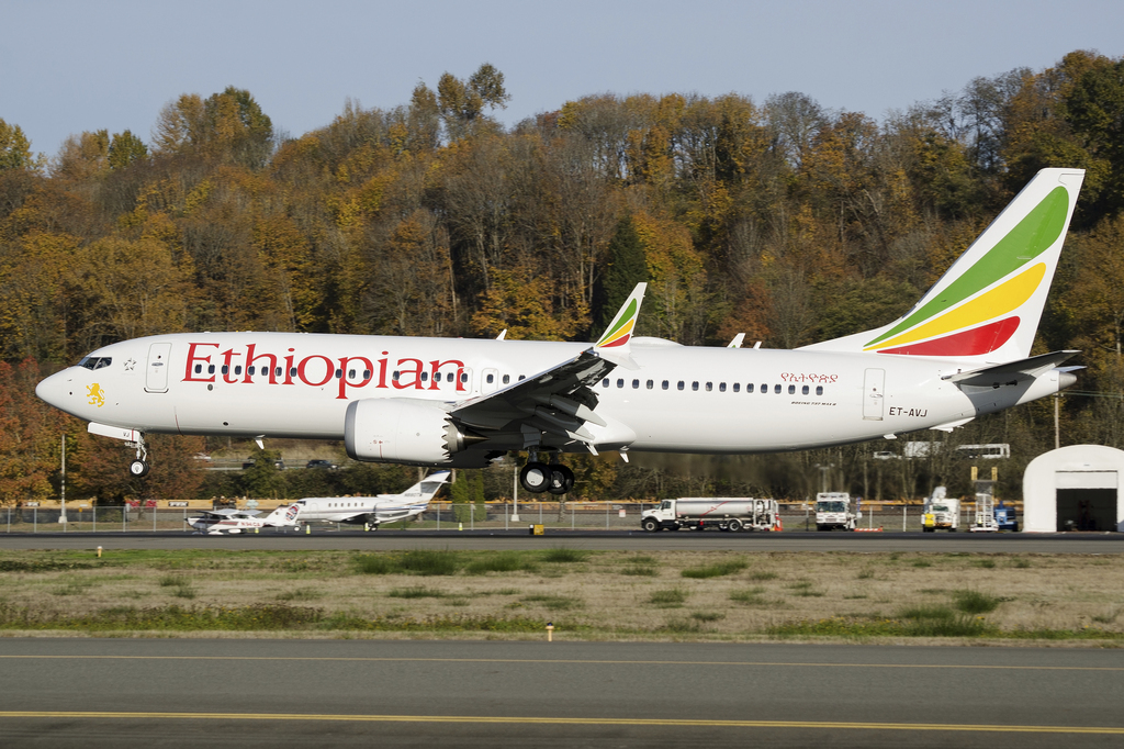 Ethiopian Airlines a annoncé qu'elle avait immobilisé ses six autres Boeing 737 MAX 8 jusqu'à nouvel ordre.